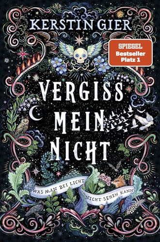 Vergissmeinnicht - Was man bei Licht nicht sehen kann By Kerstin Gier