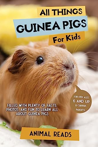 All Things Guinea Pigs For Kids