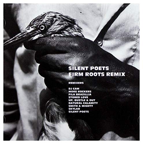 Firm Roots: Remixes