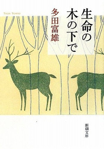 Seimei no ki no shita de