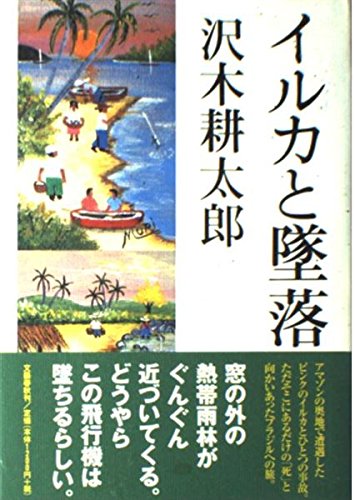 イルカと墜落