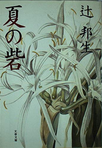 夏の砦 (文春文庫)