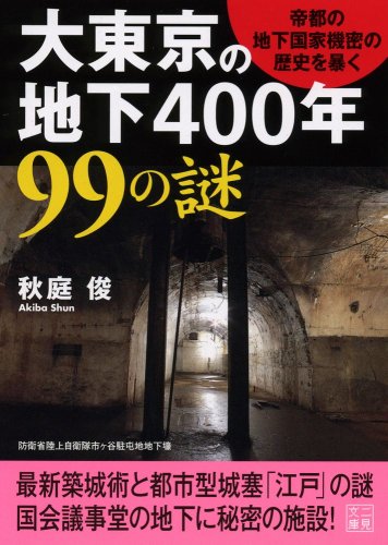 DaitoÌ„kyoÌ„ no chika 400nen 99 no nazo