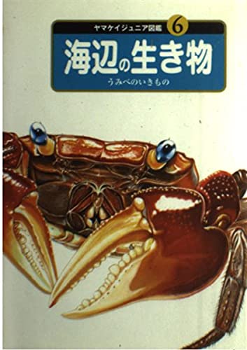 ヤマケイジュニア図鑑〈6〉海辺の生き物 (ヤマケイジュニア図鑑 (6))