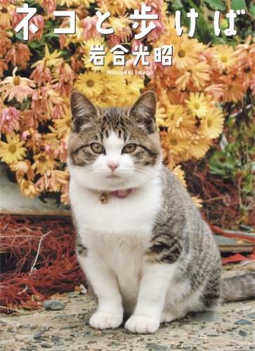 Neko to arukeba : Nippon no neko shashinshu.