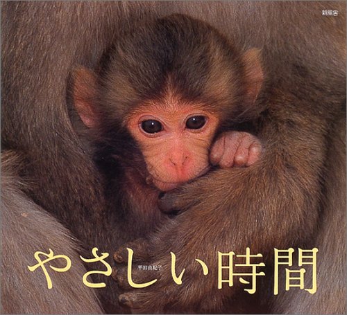 やさしい時間
