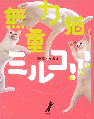 無重力猫、ミルコ!!! 【ステッカーシール付き】