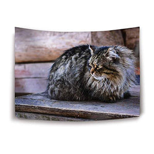 Super Bad! Hits And Raraities From The Treasure Isle Vaults 1971-1973 