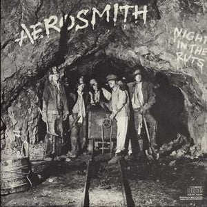 Night In The Ruts (French Import)