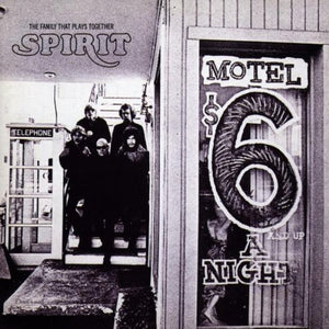 Family That Plays Together 