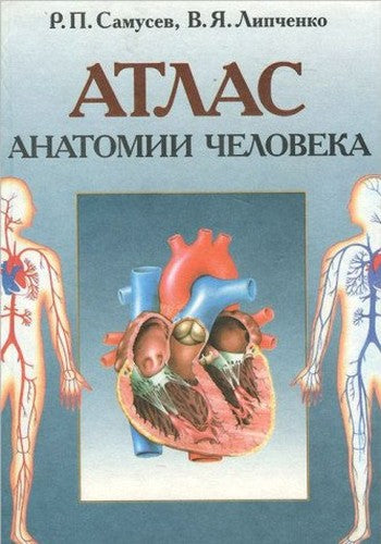 Atlas anatomii cheloveka. Uchebnoe posobie