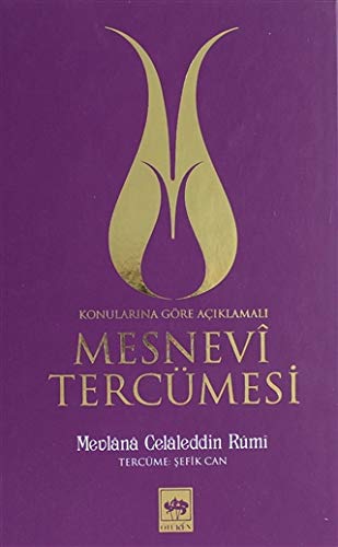 Mesnevi Tercümesi 1