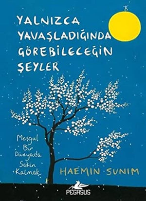 Yalnızca Yavaşladığında Görebileceğin Şeyler: Meşgul Bir Dünyada Sakin Kalmak