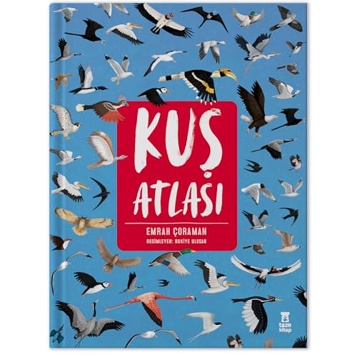 Ku? Atlas?