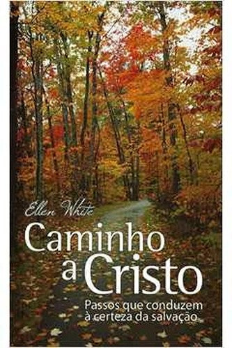Caminho a Cristo - Bolso