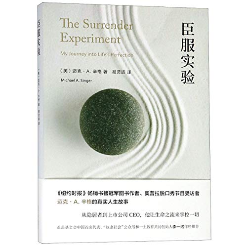 The Surrender Experiment:My Journey into Life's Perfection (Chinese Edition)