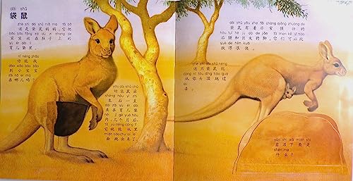 Baby Animals 动物宝宝