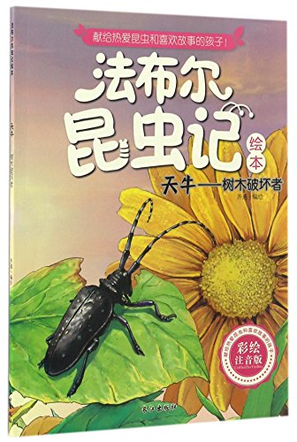 彩图法布尔昆虫记注音版绘本10册彩绘版儿童彩图版科普绘本6-7-8-9-10-11岁彩绘美图版百科