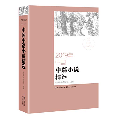 2019年中国中篇小说精选/2019中国年选系列