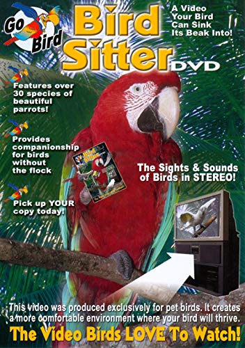 Bird Sitter DVD