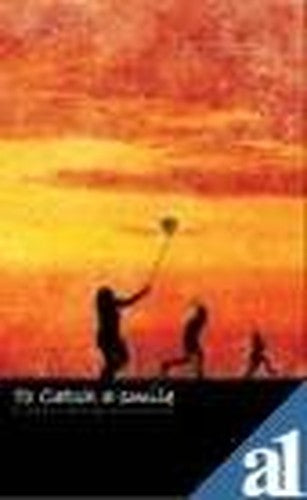 To Catch a Smile [Paperback]