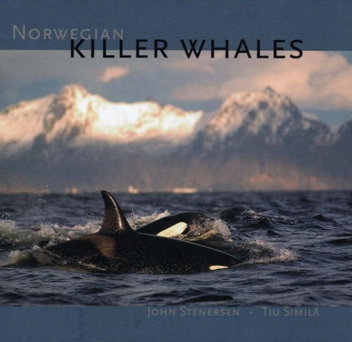 Norwegian Killer Whales