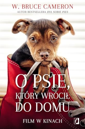 O psie, ktory wrocil do domu
