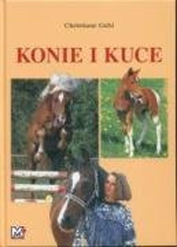 Konie i kuce