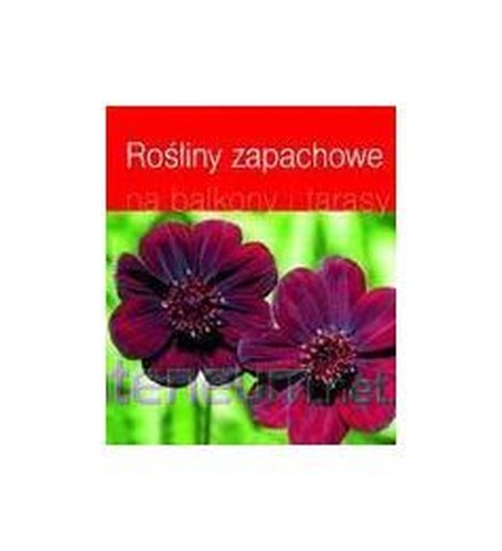 Rosliny zapachowe na balkony i tarasy (polish)