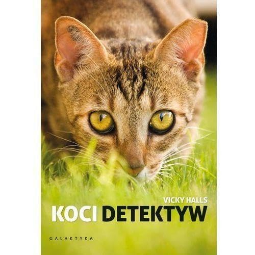 Koci detektyw