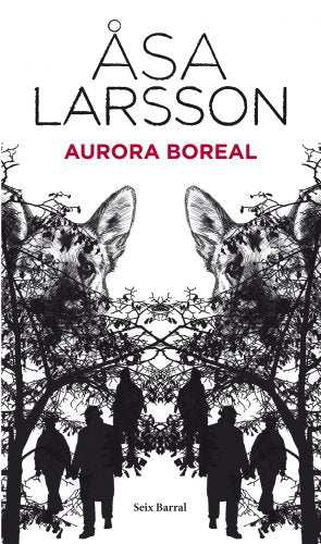 Aurora Boreal