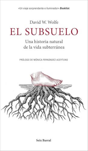 El subsuelo