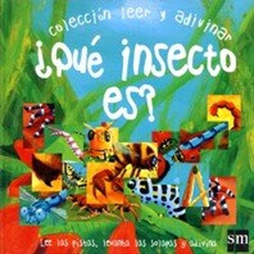 ¿Qué insecto es? (Leer y adivinar)