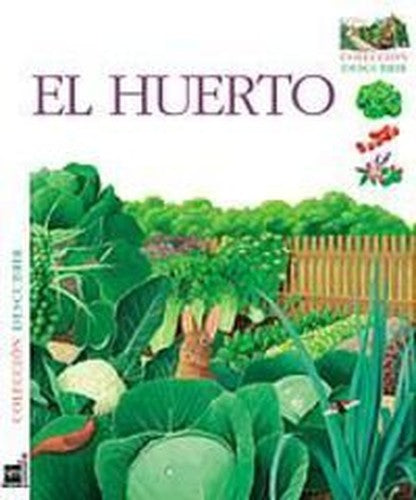 El huerto: 4 (Descubrir)