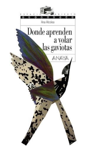 Donde aprenden a volar las gaviotas  Where gulls learn to fly Espacio Abierto Spanish Edition