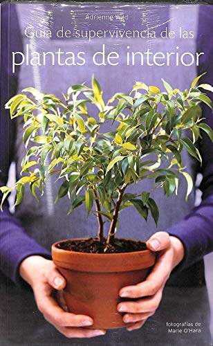 Guía de Supervivencia de las Plantas de Interior