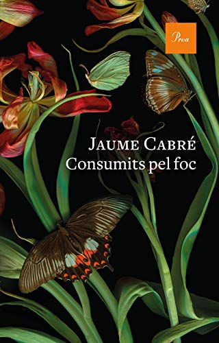 Consumits pel foc: 745 (A TOT VENT)