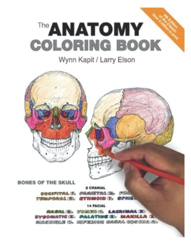 Anatomy 4th Edition: Bones ofthe skull