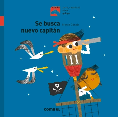 Se Busca Nuevo Capitan