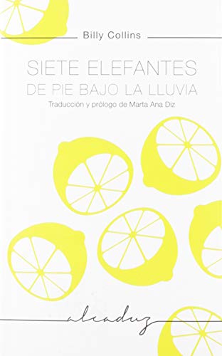 Siete elefantes de pie bajo la lluvia