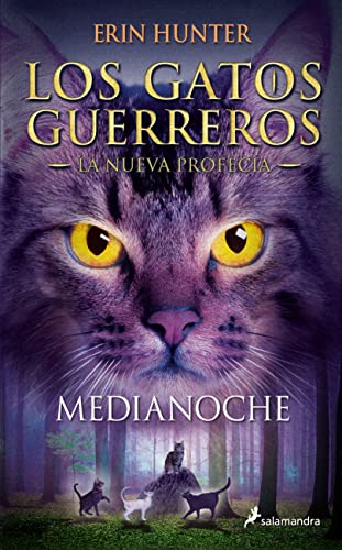 Medianoche / Midnight