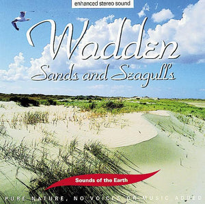 Wadden: Sands And Seagulls: Pure Nature. No Voices Or Music Added 