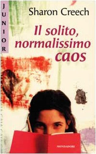 Il solito, normalissimo caos