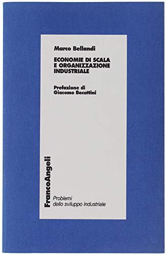 Economie di scala e organizzazione industriale