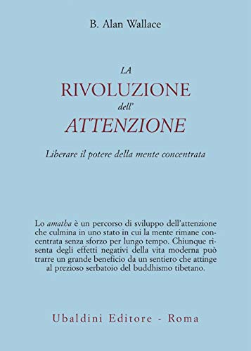 La rivoluzione dell'attenzione. Liberare il potere della mente concentrata