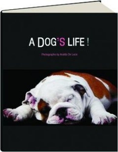 A Dog's Life!
