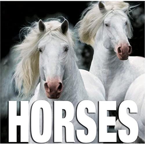 Cubebook Horses