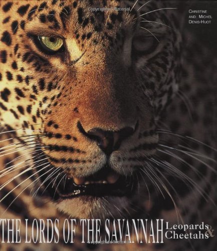 Leopards and Cheetahs