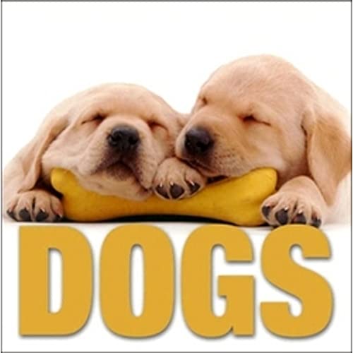 Dogs
