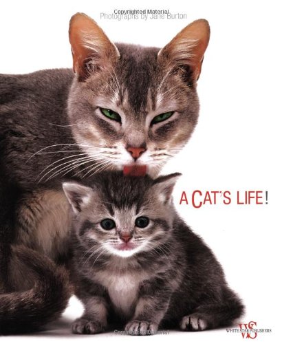Cat's Life